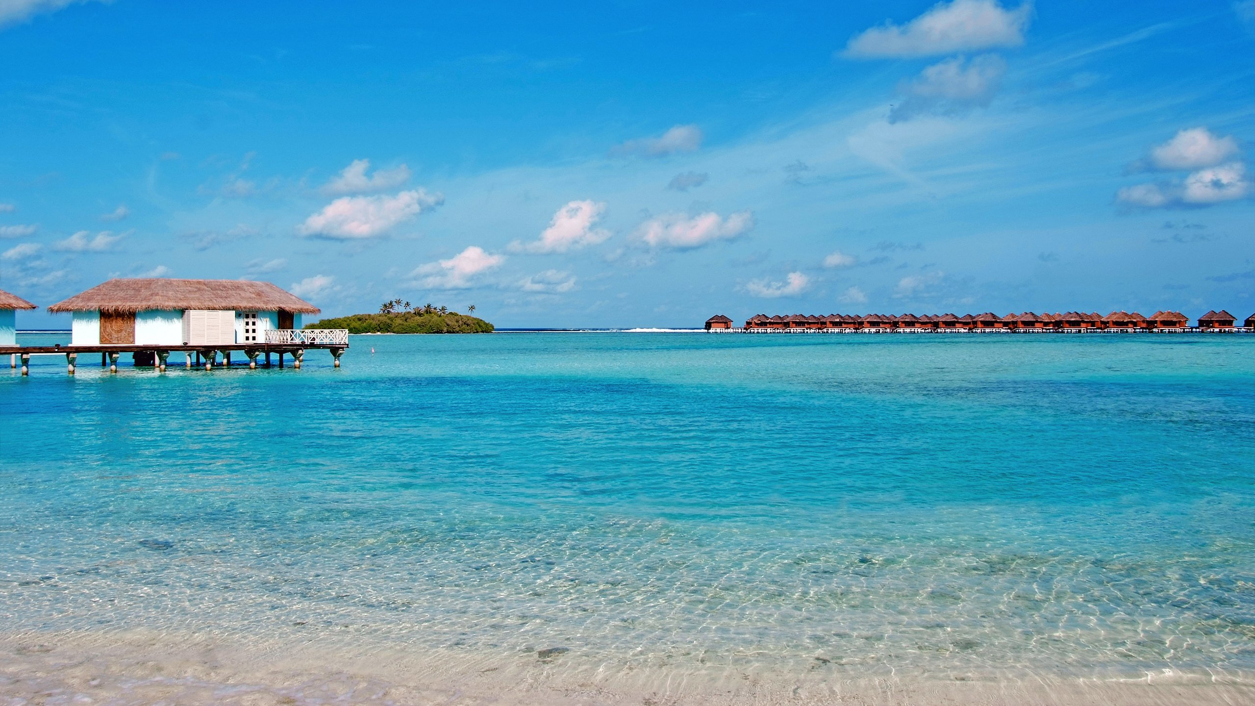 Brown Wooden Dock on Blue Sea Under Blue Sky During Daytime. Wallpaper in 2560x1440 Resolution