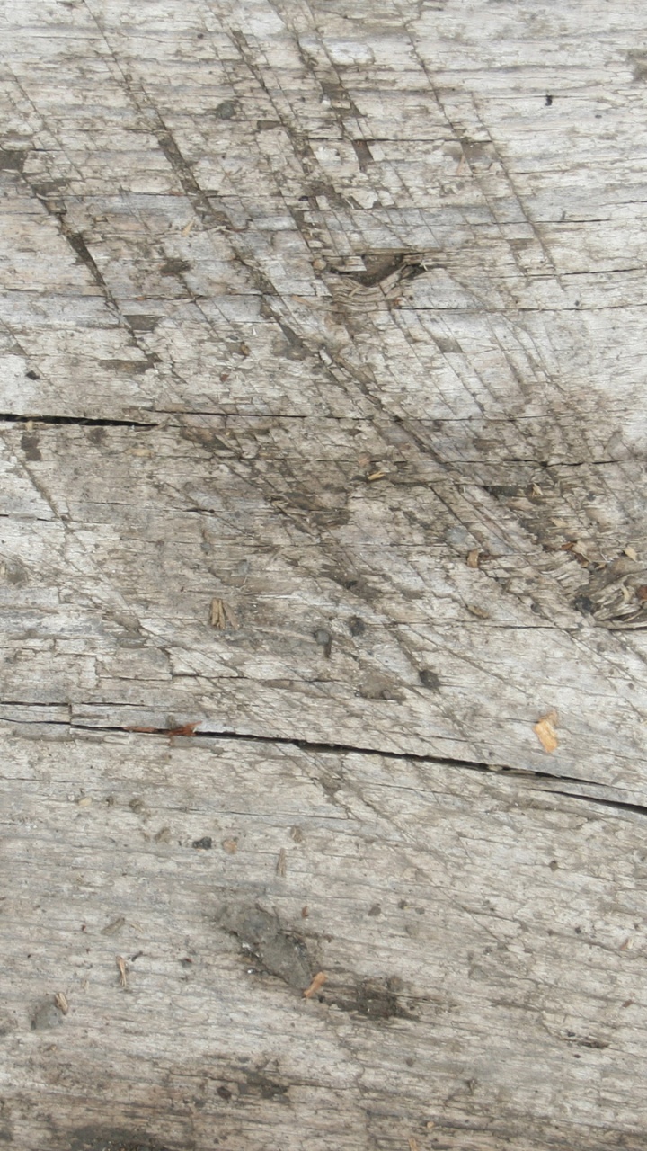 Surface en Bois Marron et Noir. Wallpaper in 720x1280 Resolution