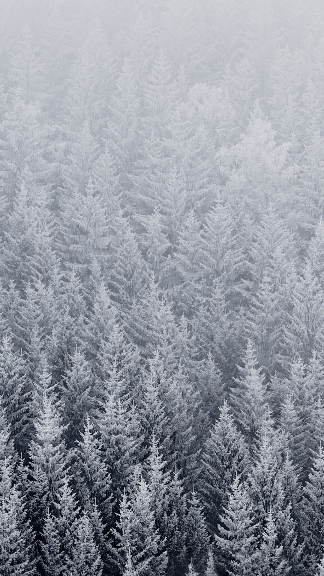 IOS, IOS 8, Apple, Plante de la Communauté, Neige. Wallpaper in 1080x1920 Resolution