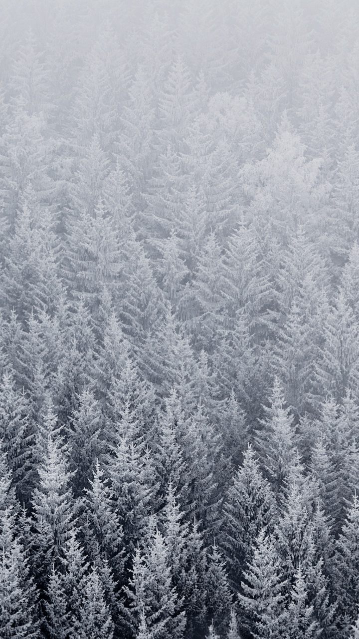 Ios, IOS 8, Manzana, la Comunidad Vegetal, Nieve. Wallpaper in 720x1280 Resolution