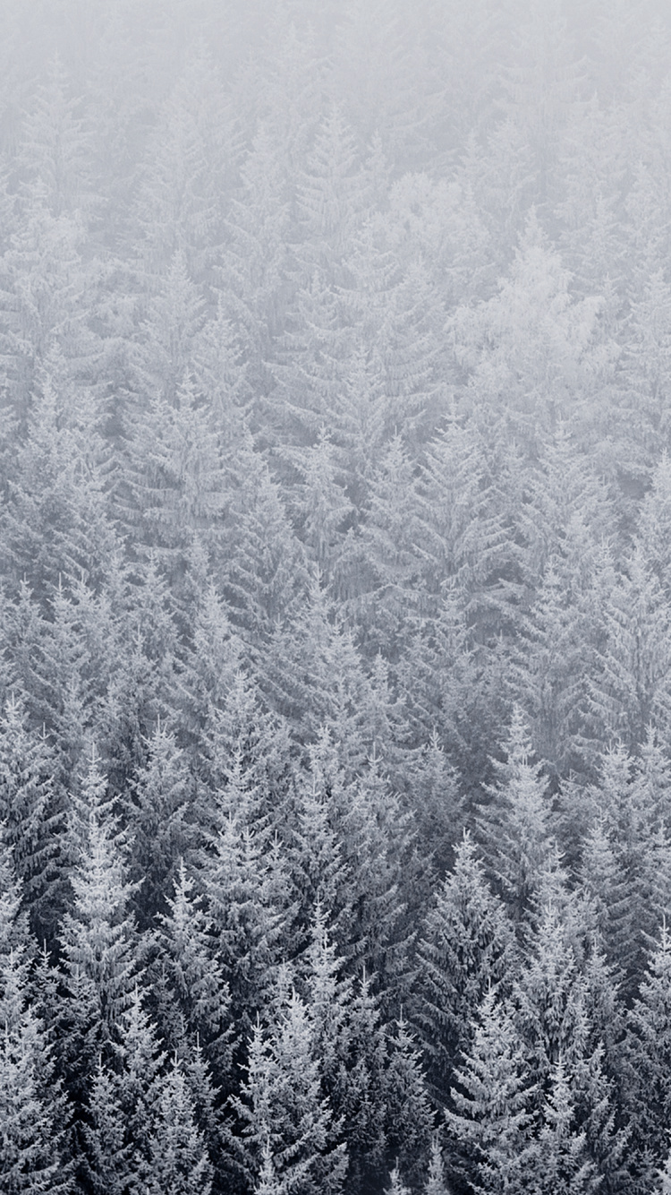 Ios, IOS 8, Manzana, la Comunidad Vegetal, Nieve. Wallpaper in 750x1334 Resolution