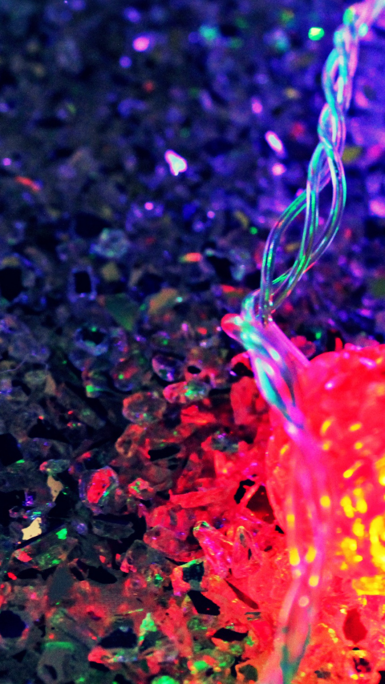 Licht, Purpur, Veilchen, M Schmetterling, Makro. Wallpaper in 750x1334 Resolution