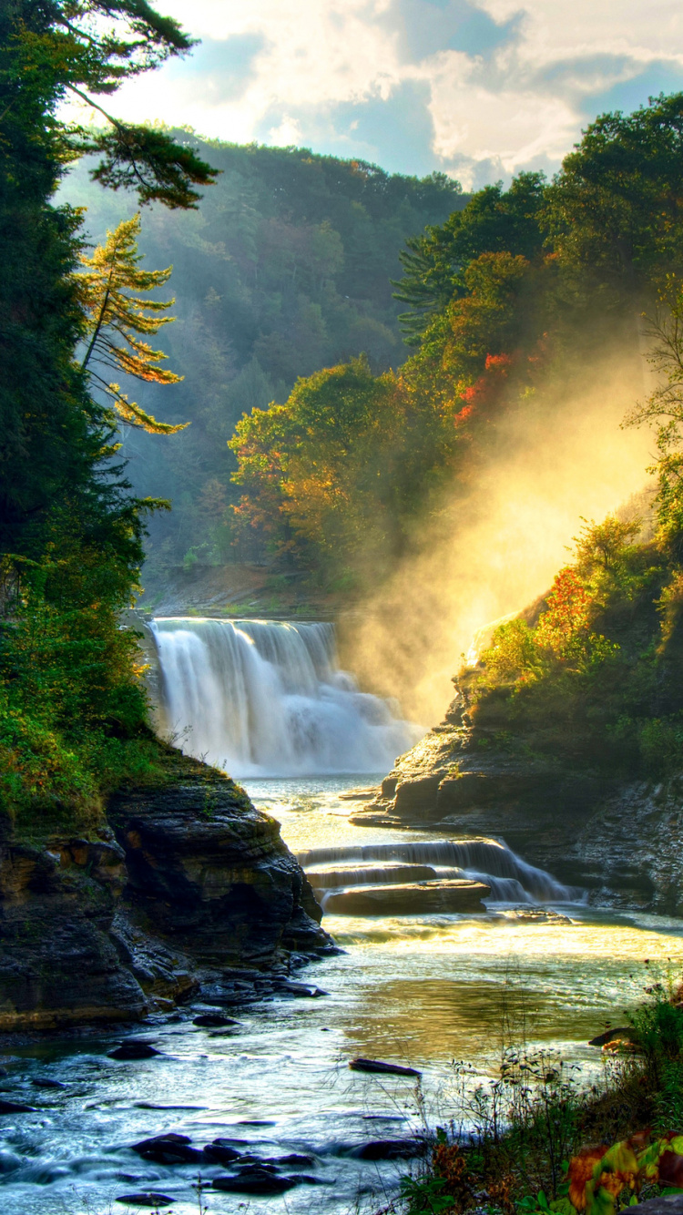 Waterfalls in The Middle of Green Trees. Wallpaper in 750x1334 Resolution