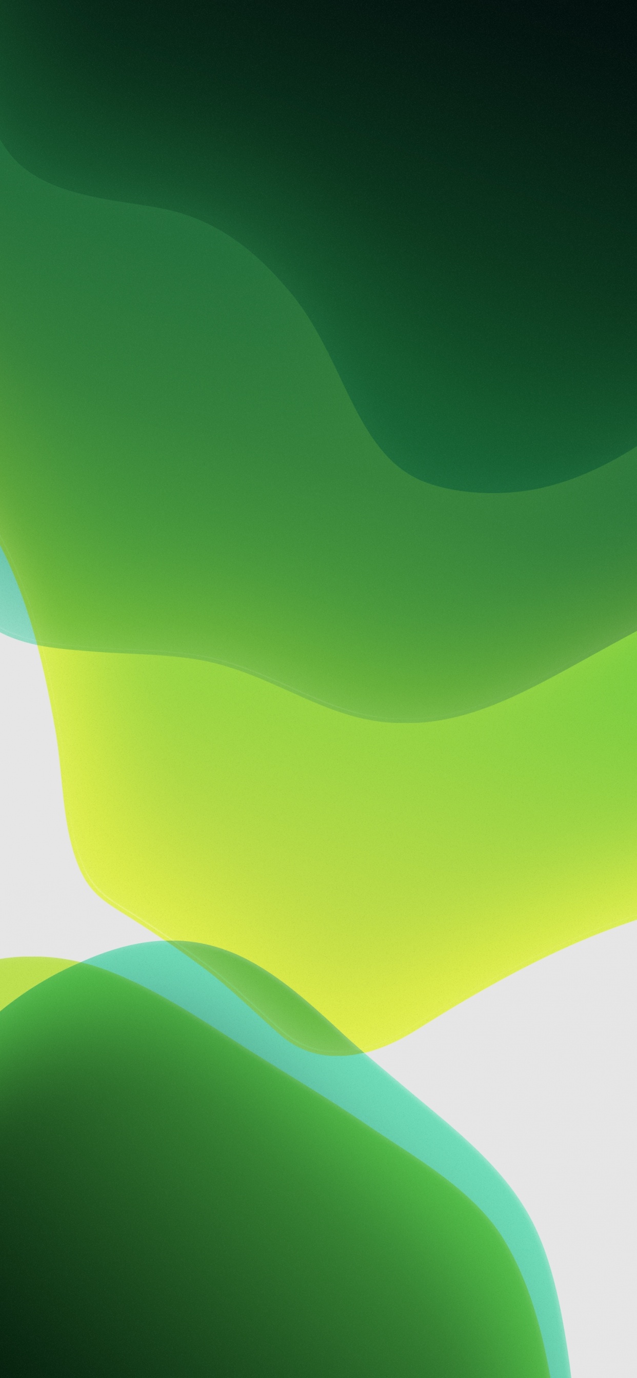 IPad, IOS 13, WWDC 2019, Apple, IOS. Wallpaper in 1242x2688 Resolution