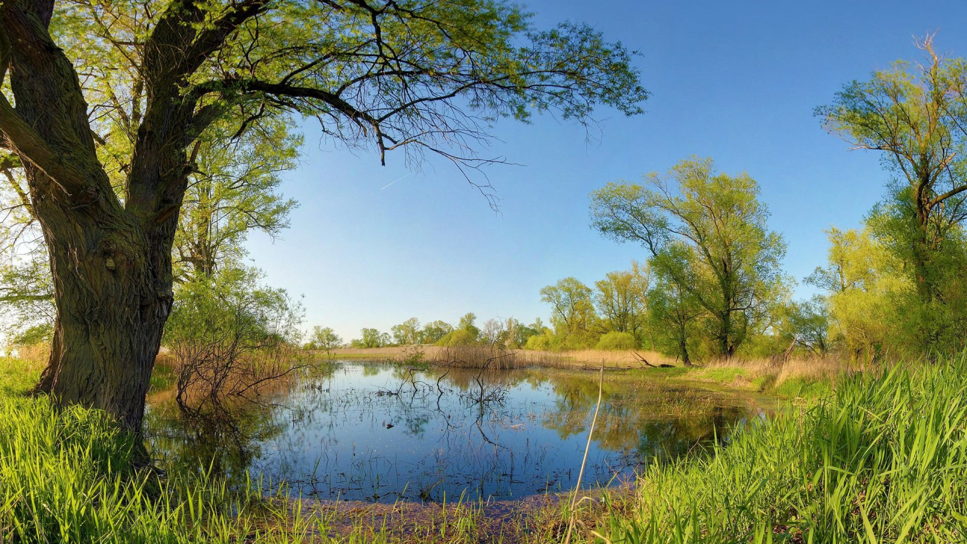 Tagsüber Grüne Wiese in Der Nähe Des Sees. Wallpaper in 1920x1080 Resolution