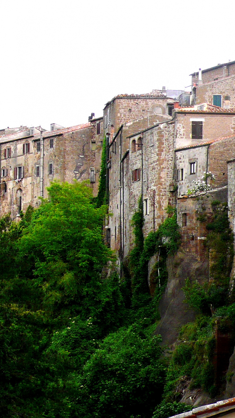 Edificio de Hormigón Marrón en la Parte Superior de Los Árboles Verdes Durante el Día. Wallpaper in 750x1334 Resolution