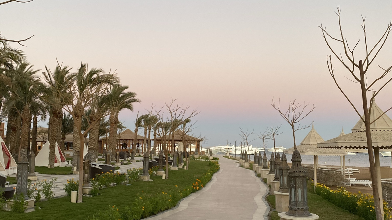 Palm Trees, Road, Plant, Infrastructure, Water. Wallpaper in 1366x768 Resolution