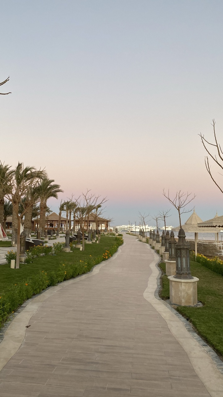 Palmier, Route, Infrastructure, Eau, Surface de la Route. Wallpaper in 720x1280 Resolution