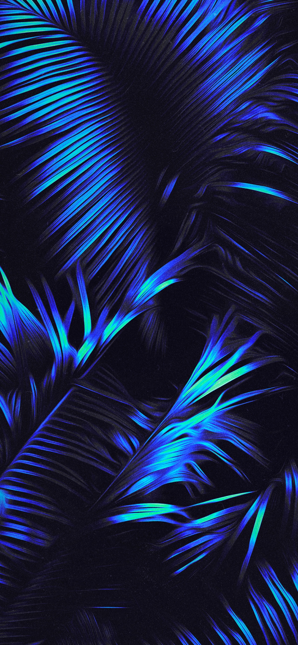 Azure, 羽毛, 陆地上的植物, 电蓝色的, 艺术 壁纸 1242x2688 允许