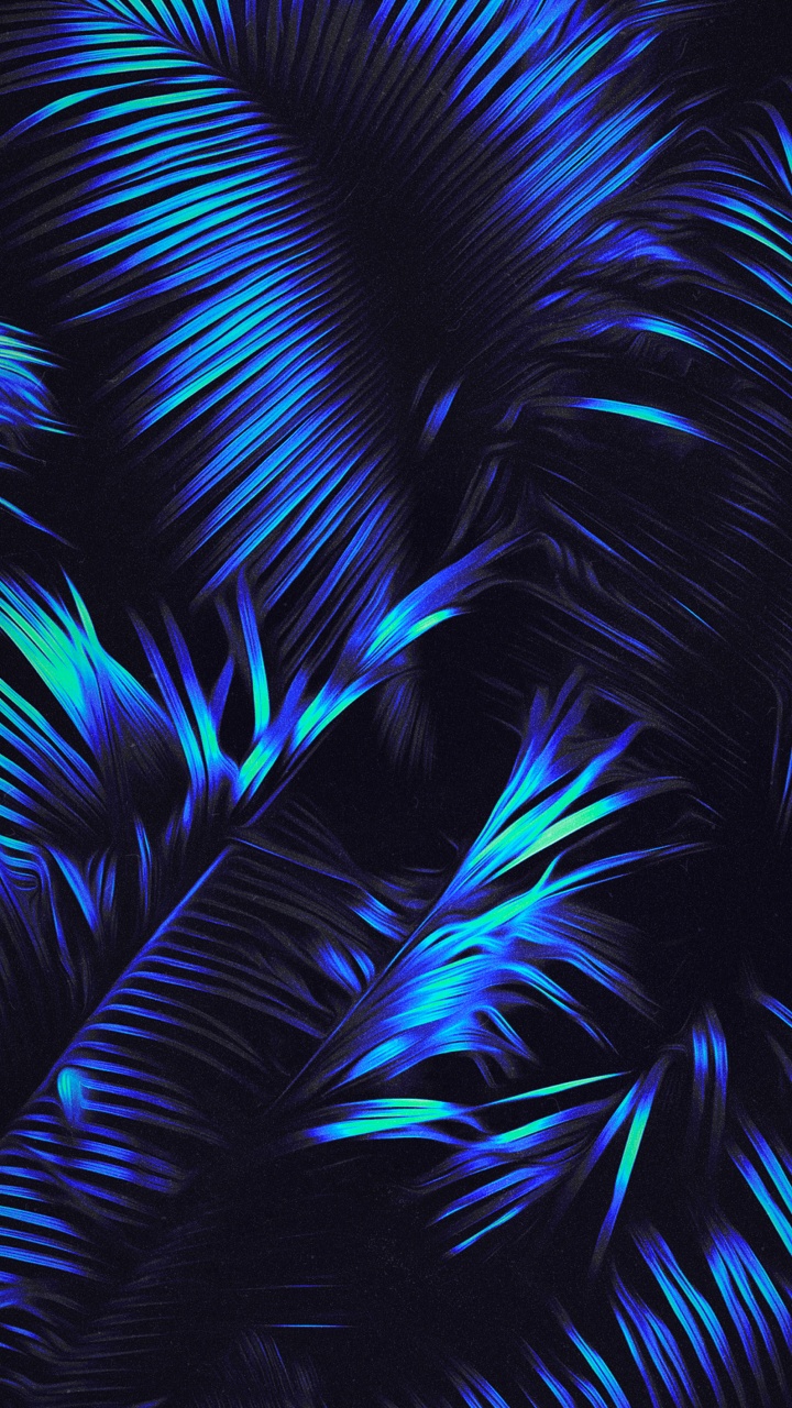 Blue, Azure, Plume, Plante Terrestre, Art. Wallpaper in 720x1280 Resolution