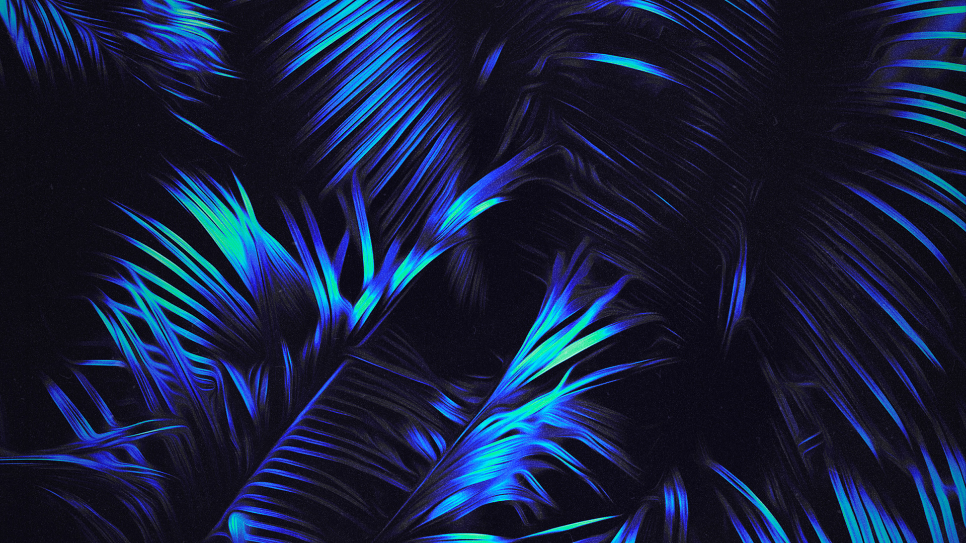 Jigsaw Puzzle, Blue, Azure, Feather, Terrestrial Plant. Wallpaper in 1920x1080 Resolution