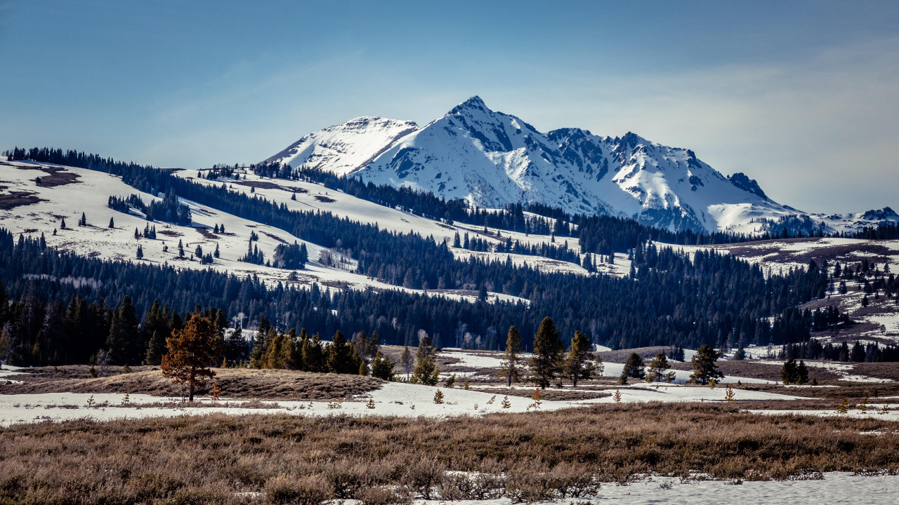 Winter, Mountain, Cloud, Plant, Snow. Wallpaper in 1280x720 Resolution