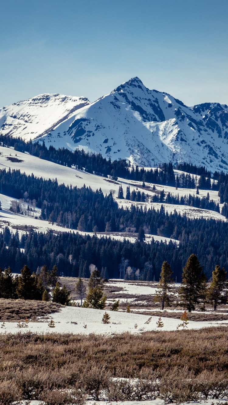 Winter, Mountain, Cloud, Plant, Snow. Wallpaper in 750x1334 Resolution