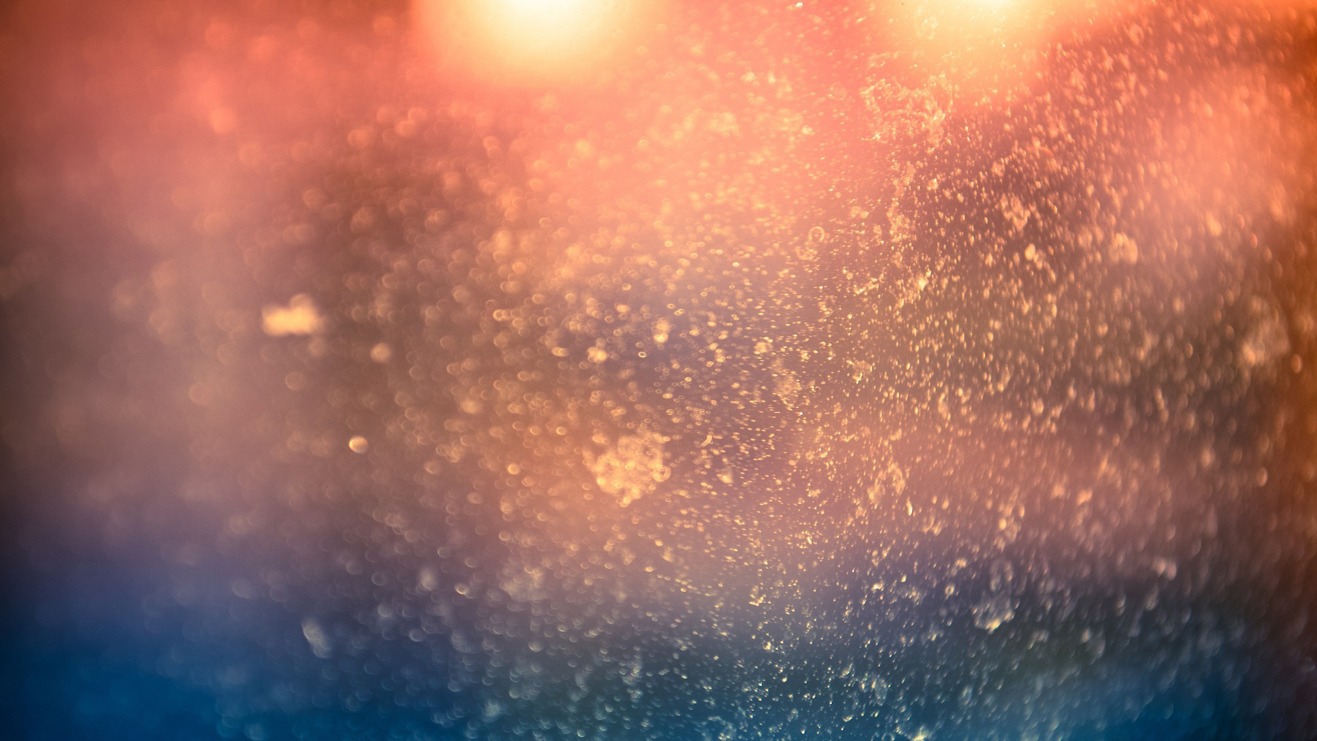 Water Droplets on Glass Panel. Wallpaper in 2560x1440 Resolution