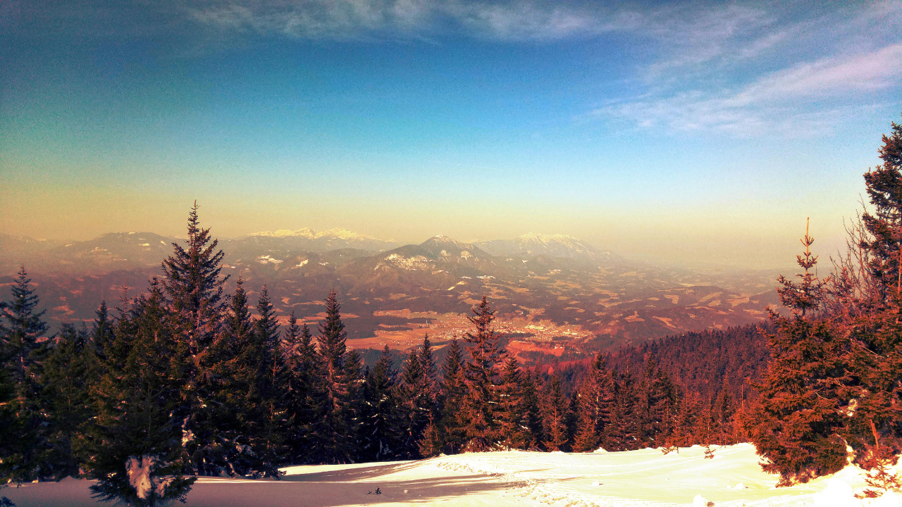 Tagsüber Grüne Pinien Auf Schneebedecktem Boden. Wallpaper in 1280x720 Resolution