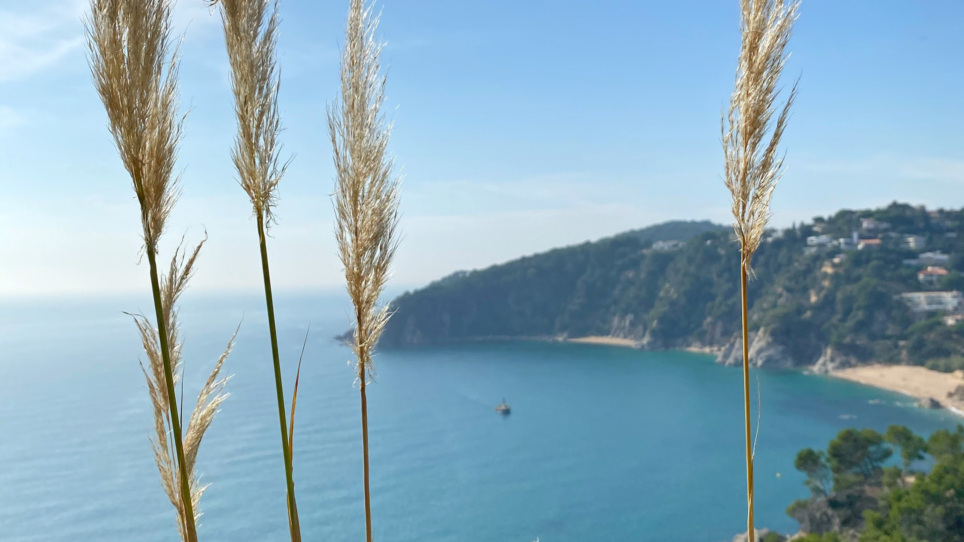 Mar, la Vegetación, Costa, Azure, Orilla. Wallpaper in 1920x1080 Resolution