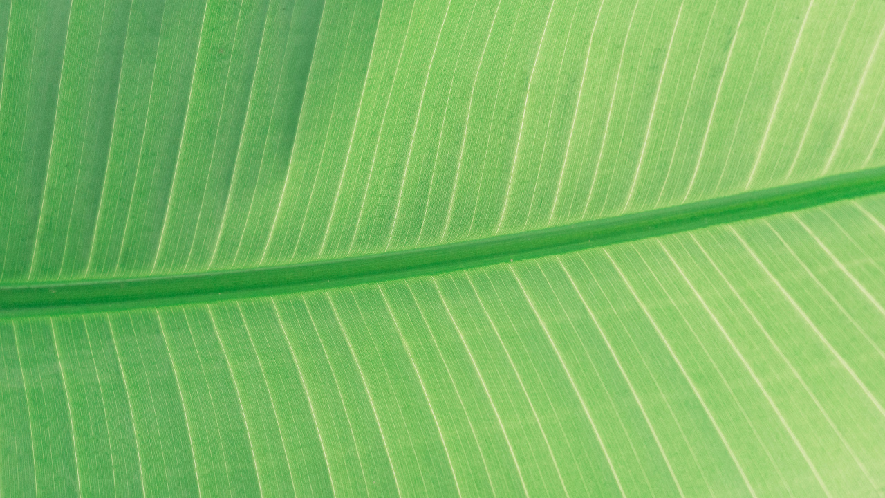 Textil de Rayas Verdes y Blancas. Wallpaper in 1280x720 Resolution