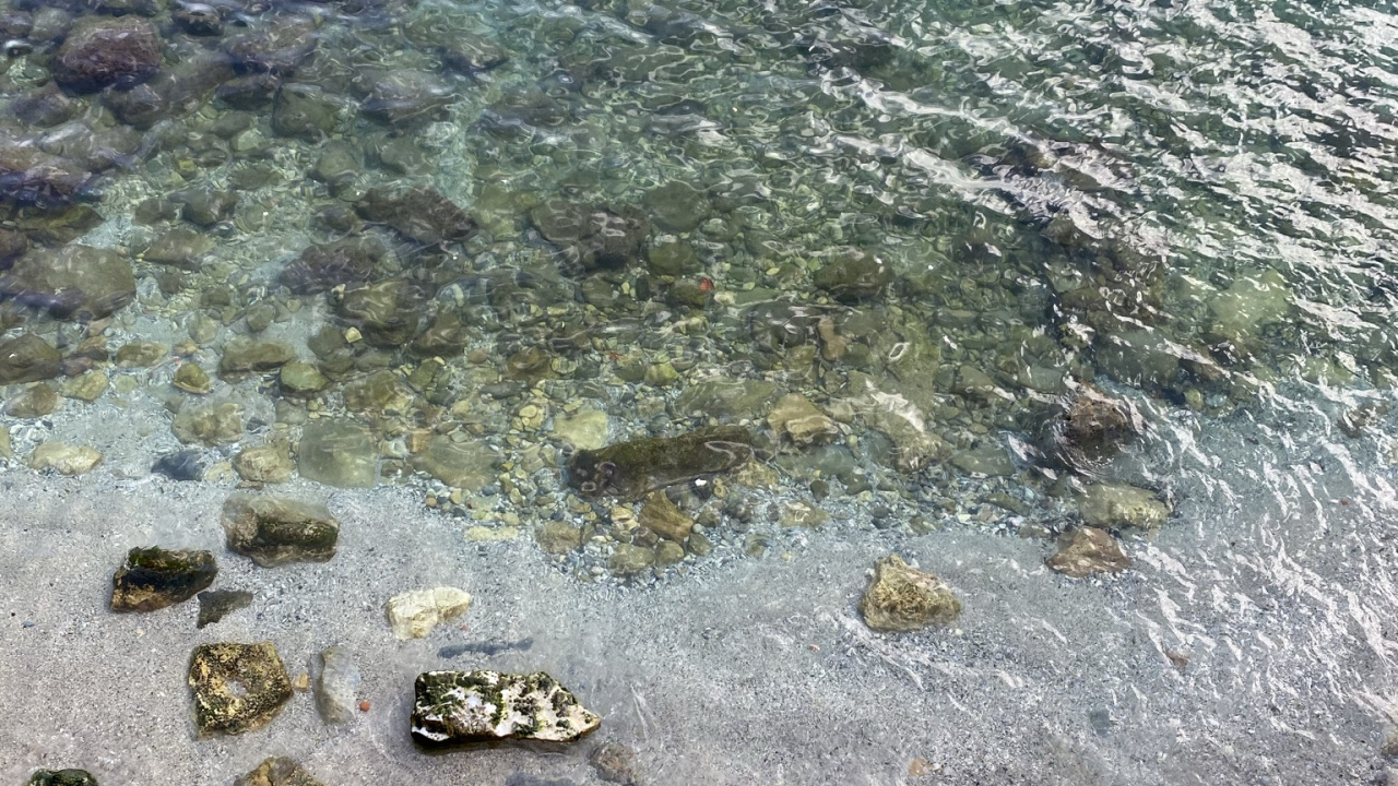 Water, Physics, Science, Water Resources, Natural Environment. Wallpaper in 1280x720 Resolution