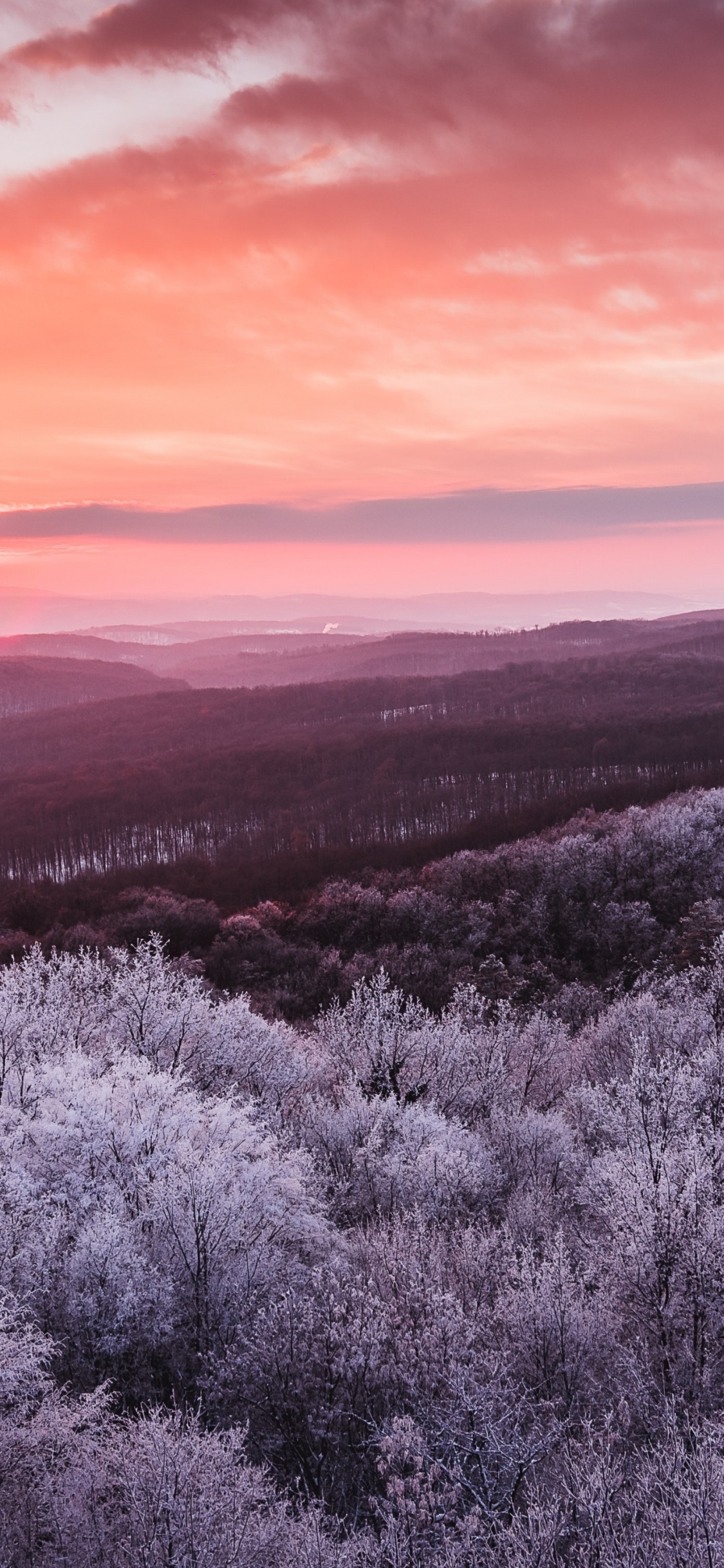 Ambiente, Paisaje Natural, Morado, la Luz Del Sol, Atardecer. Wallpaper in 1125x2436 Resolution