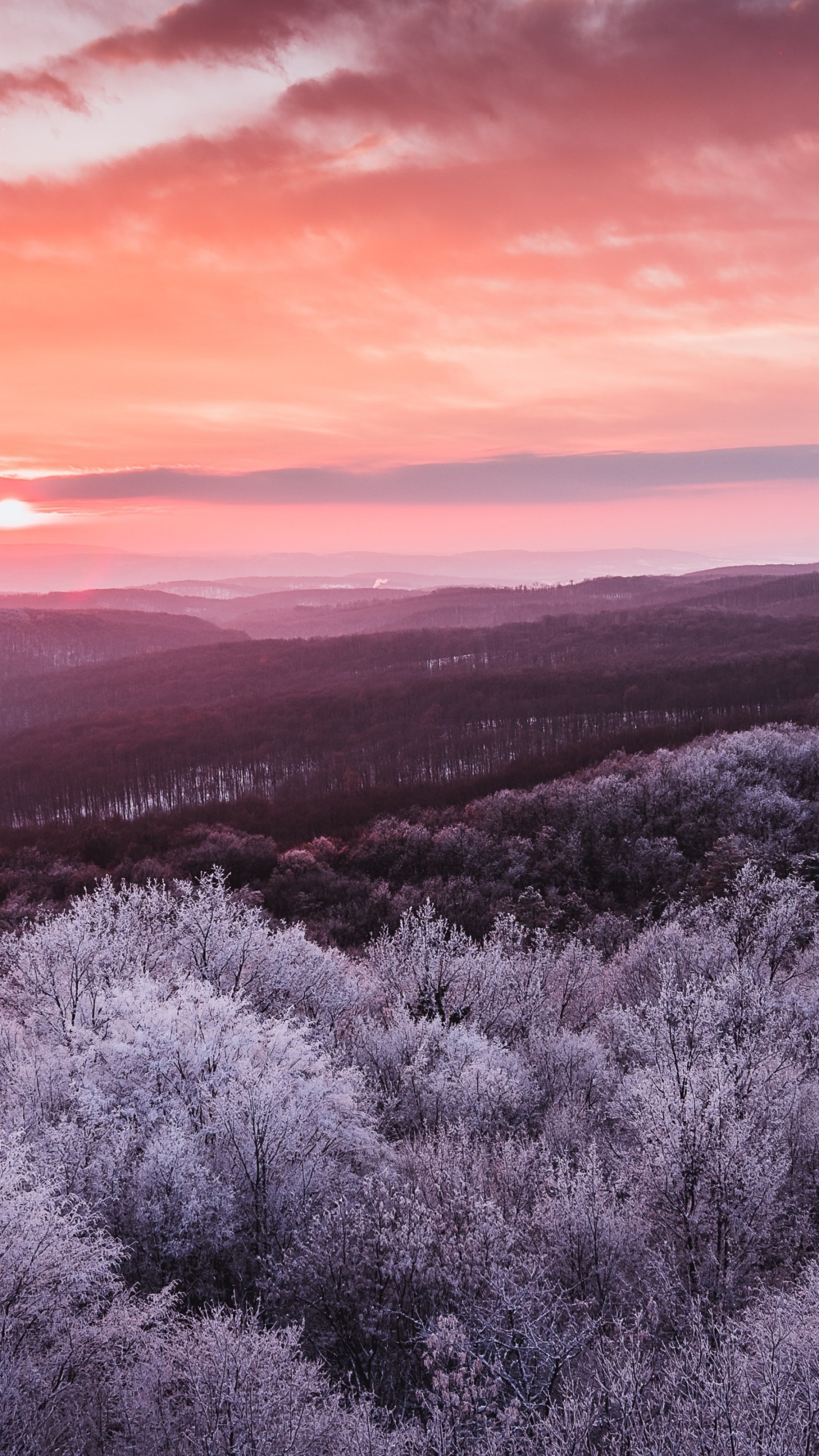 Atmosphère, Paysage Naturel, Purple, Horizon, Lever. Wallpaper in 1440x2560 Resolution