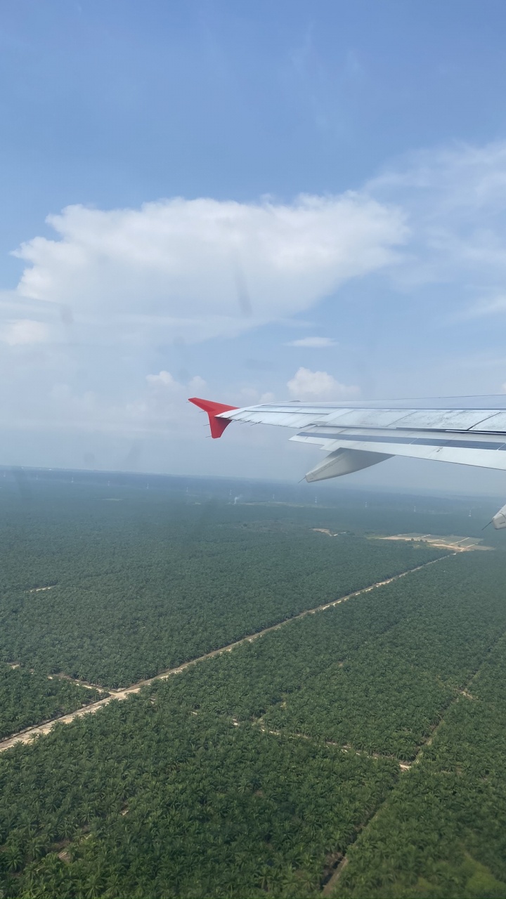 空中旅行, 航班, 气氛, 航空, 翼 壁纸 720x1280 允许