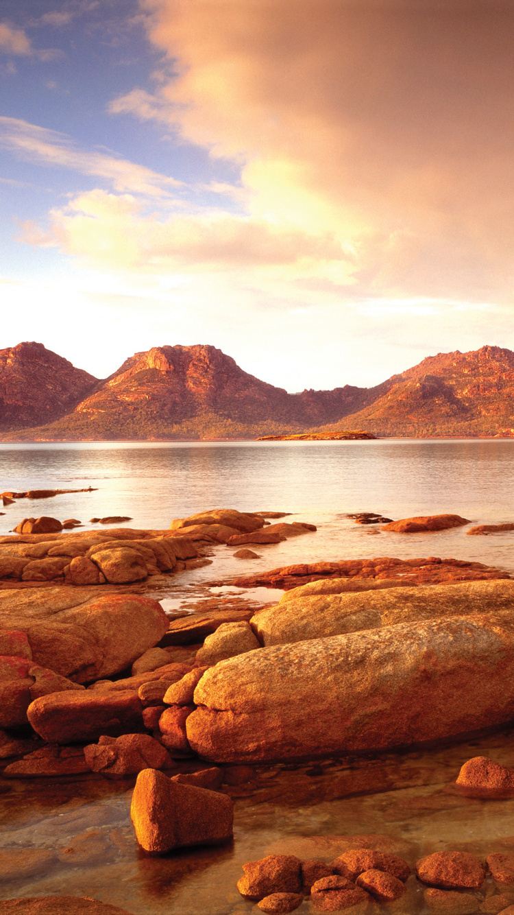 Brown Rocks on Seashore During Daytime. Wallpaper in 750x1334 Resolution