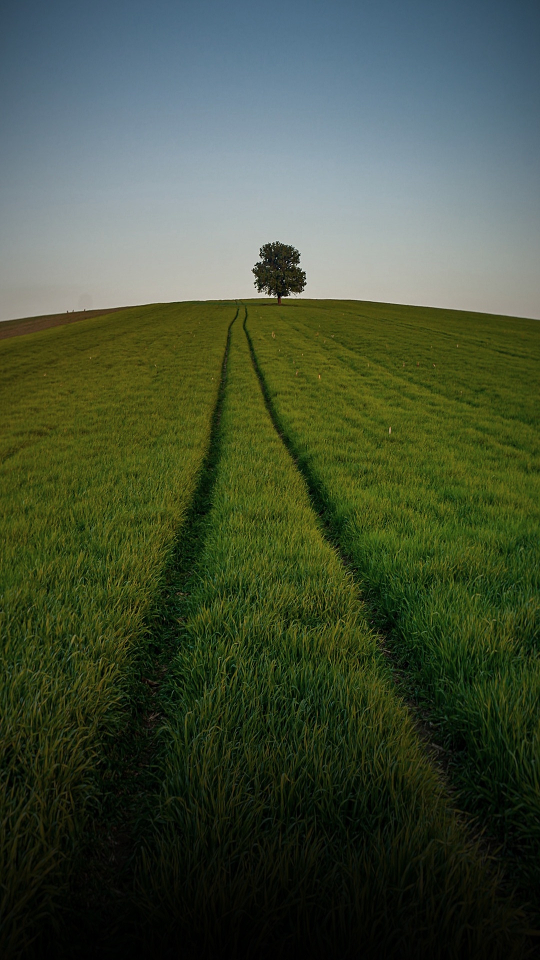 Prairie, Paysage Naturel, Les Terres Beaucoup, Les Gens Dans la Nature, Végétation. Wallpaper in 1080x1920 Resolution