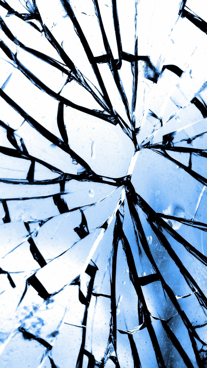 Toile D'araignée Blanche et Noire. Wallpaper in 720x1280 Resolution