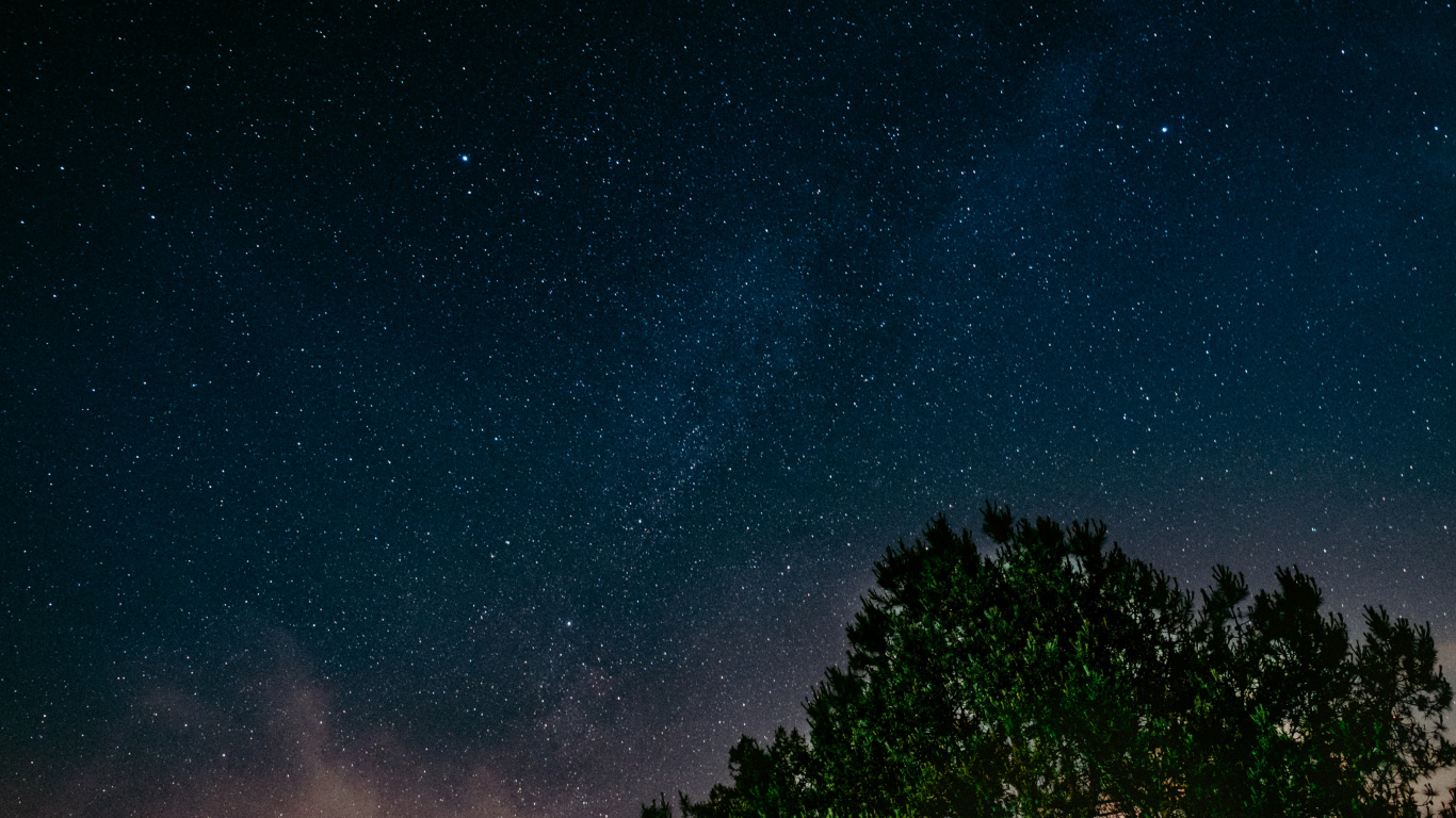 Grüne Bäume Unter Blauem Himmel Während Der Nacht Night. Wallpaper in 1366x768 Resolution