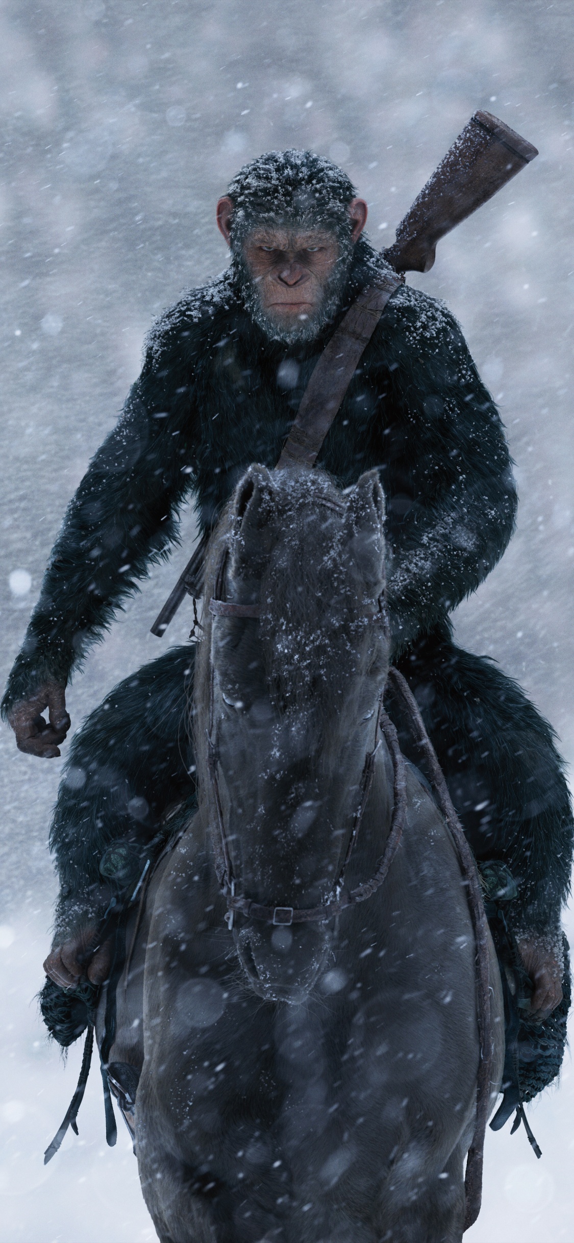 Neige, Tempête de L'hiver, Blizzard, Congélation, Glace. Wallpaper in 1125x2436 Resolution