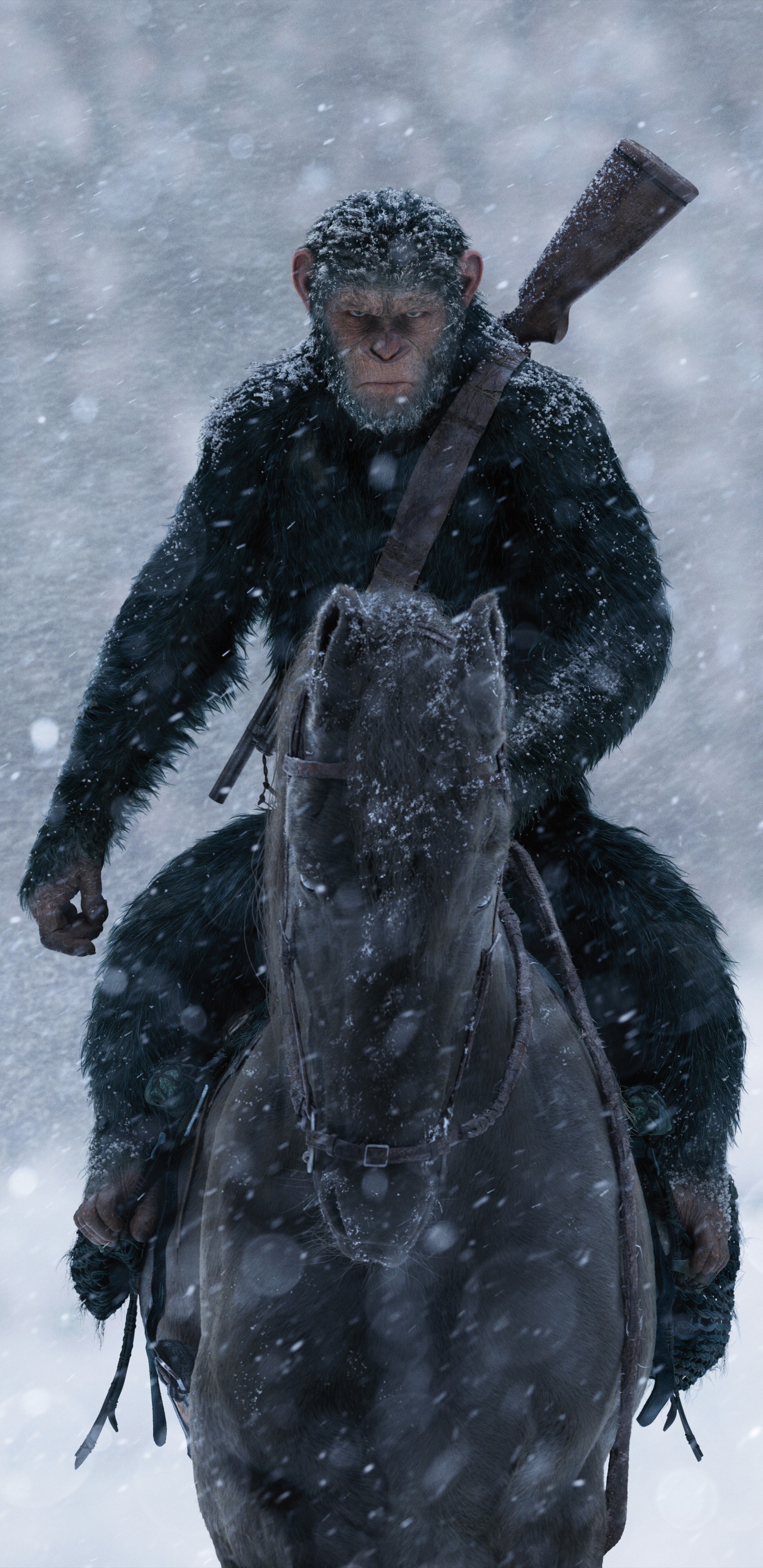 Neige, Tempête de L'hiver, Blizzard, Congélation, Glace. Wallpaper in 1440x2960 Resolution