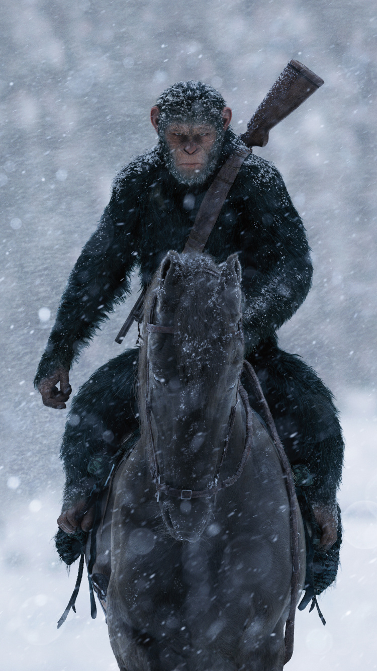 Nieve, Tormenta de Invierno, Blizzard, Congelación, Hielo. Wallpaper in 750x1334 Resolution