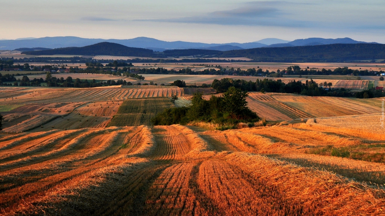 Brown Field Under Blue Sky During Daytime. Wallpaper in 1280x720 Resolution