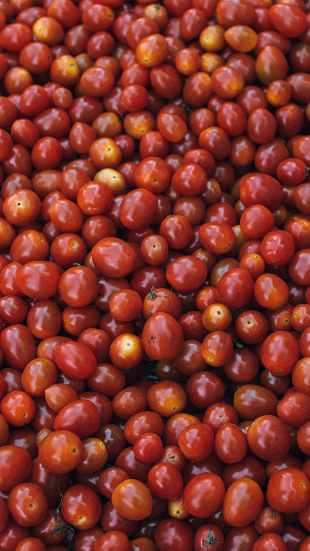 Red Round Fruits on White Ceramic Plate. Wallpaper in 1080x1920 Resolution