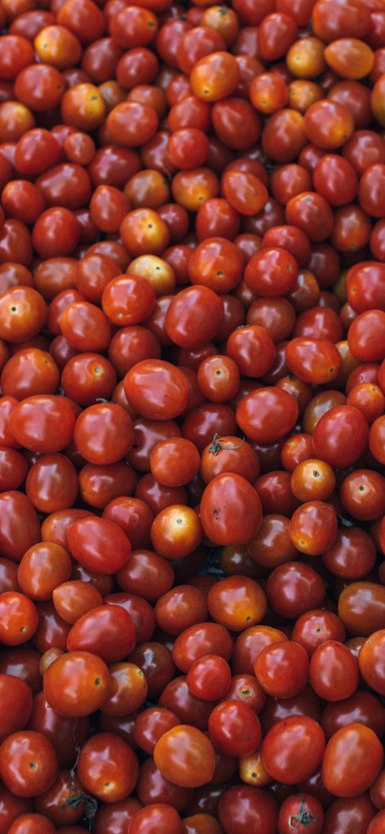 Red Round Fruits on White Ceramic Plate. Wallpaper in 1242x2688 Resolution