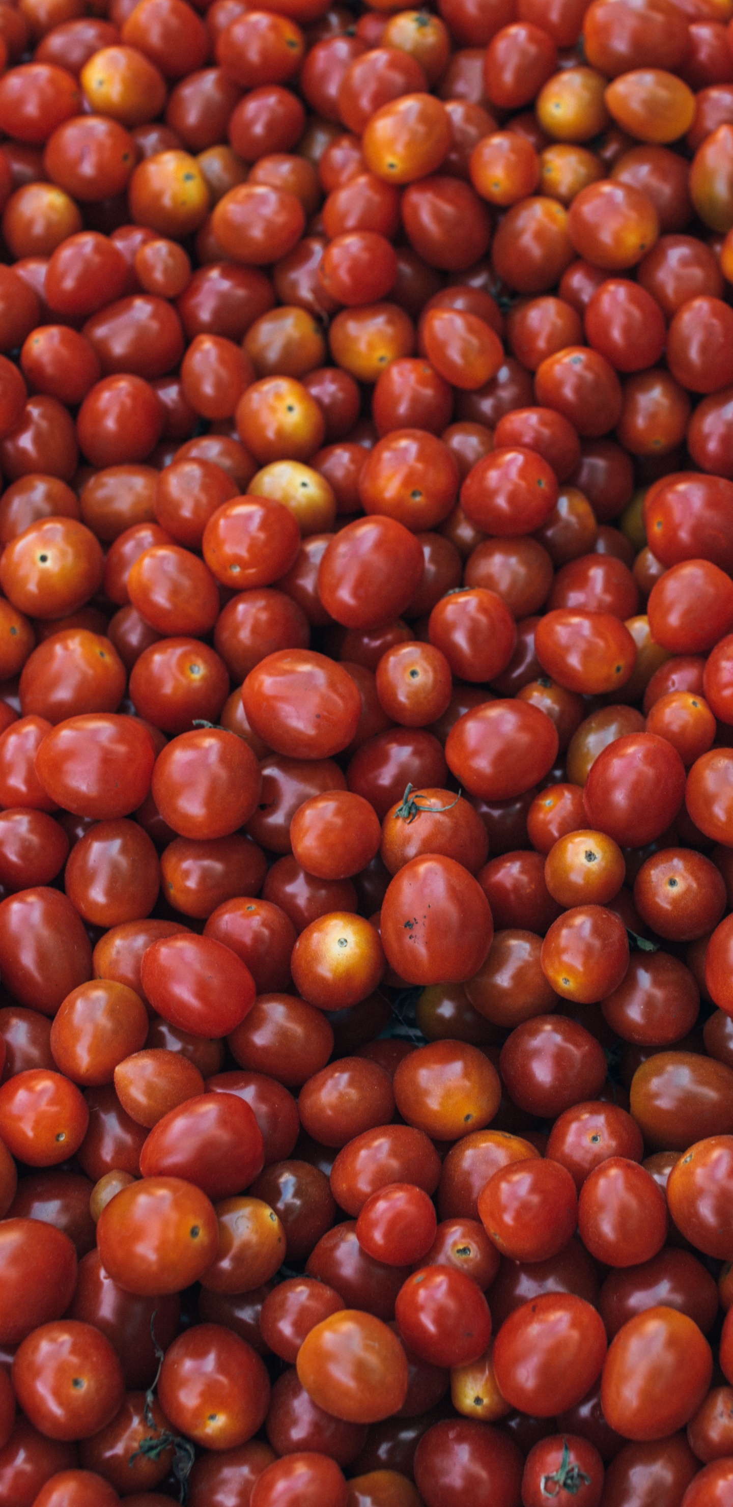 Red Round Fruits on White Ceramic Plate. Wallpaper in 1440x2960 Resolution