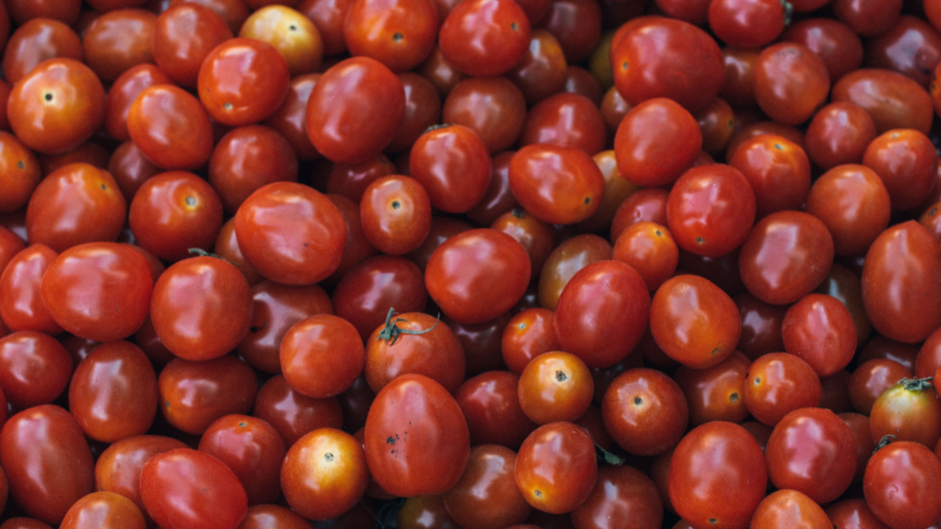 Rote Runde Früchte Auf Weißem Keramikteller. Wallpaper in 1366x768 Resolution