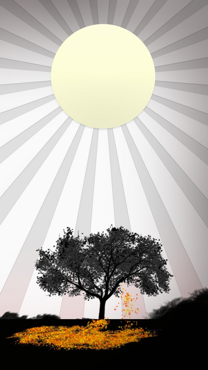 Silhouette of Trees Under Blue Sky During Daytime. Wallpaper in 720x1280 Resolution