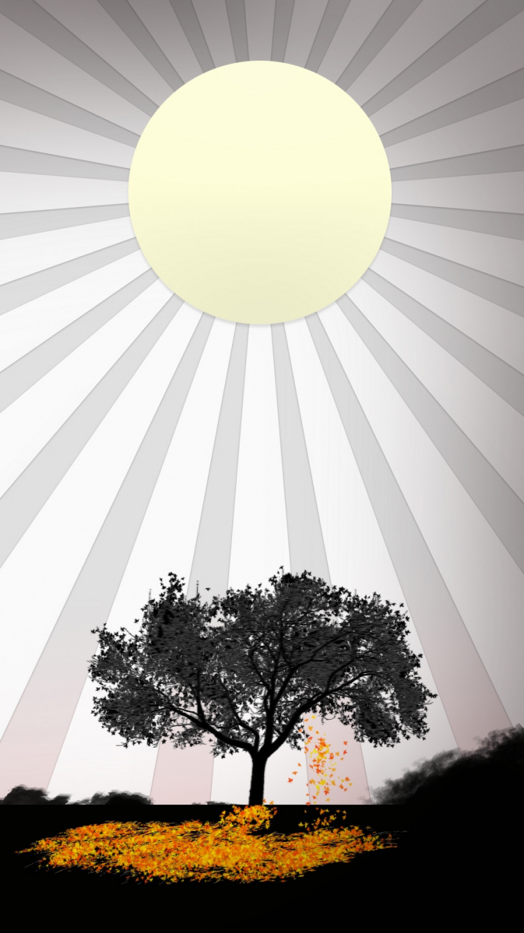 Silhouette of Trees Under Blue Sky During Daytime. Wallpaper in 750x1334 Resolution