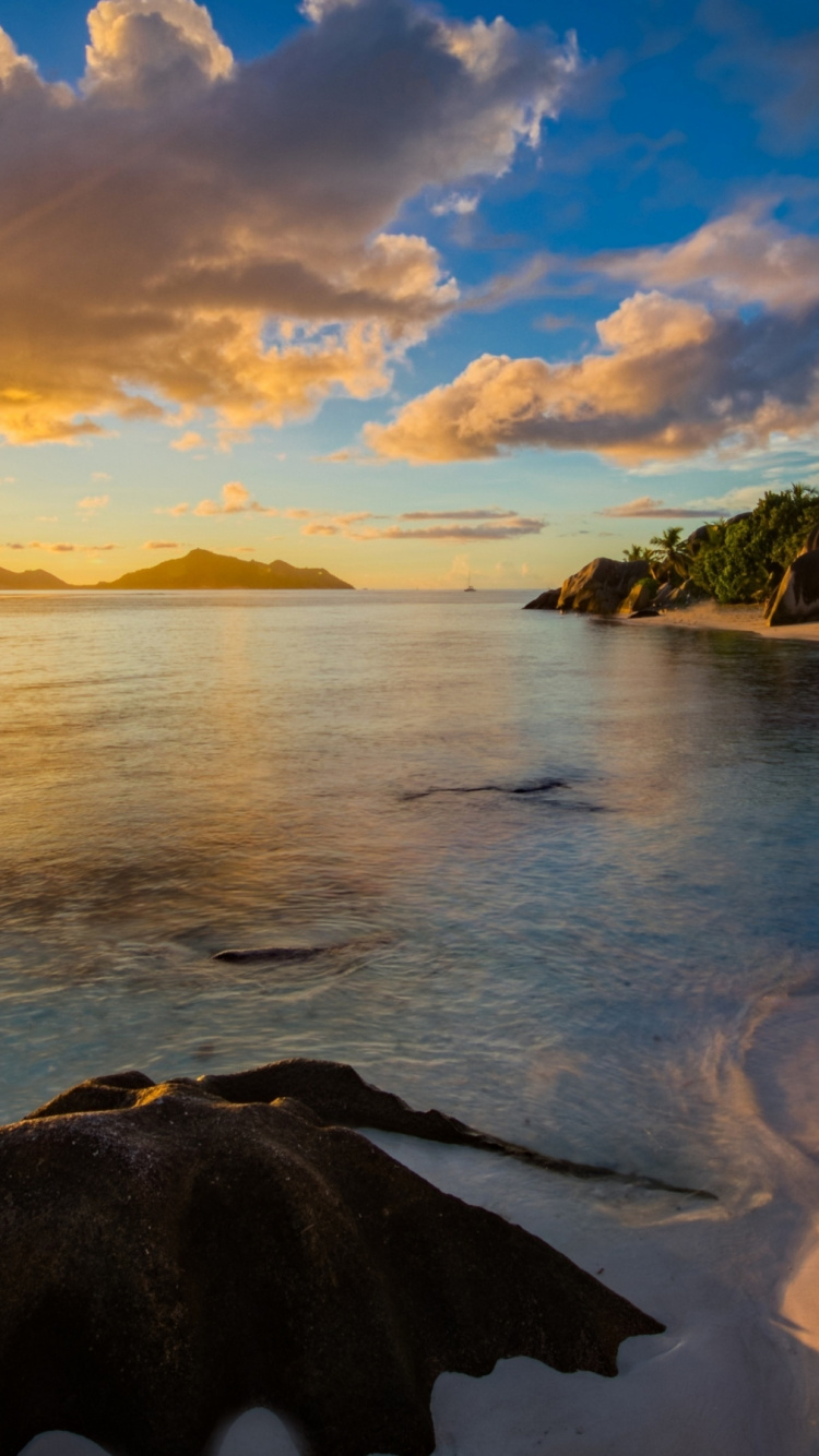 Beach, Anse Source DArgent, Maldives, Sea, Coast. Wallpaper in 750x1334 Resolution