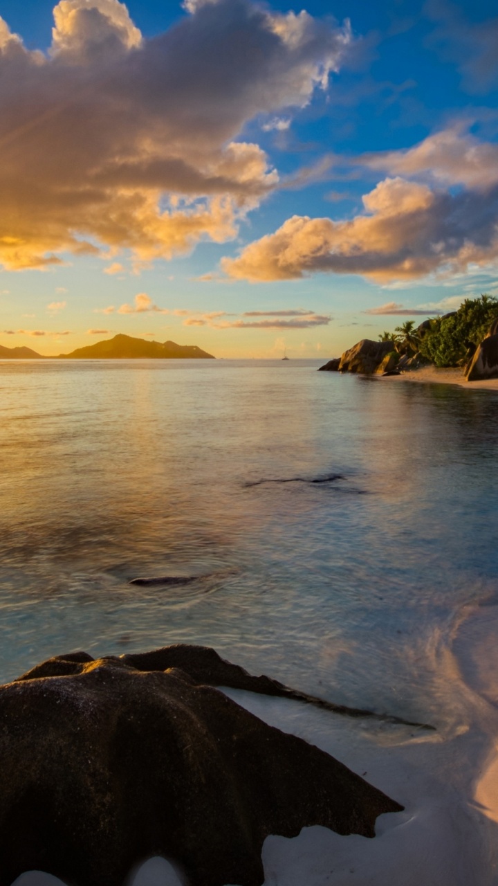 Playa, Anse Source DArgent, Maldivas, Mar, Costa. Wallpaper in 720x1280 Resolution