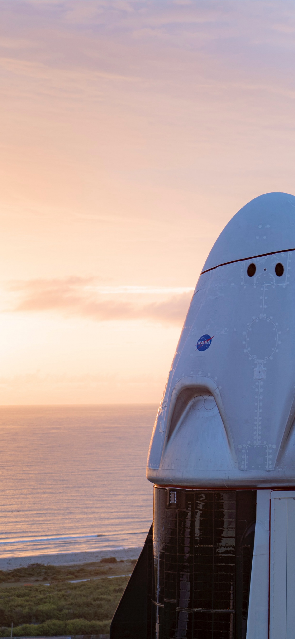 SpaceX, Spacex Crew Dragon, Crew Dragon Demo-2, Spacex Crew-1, Spacex Dragon. Wallpaper in 1242x2688 Resolution