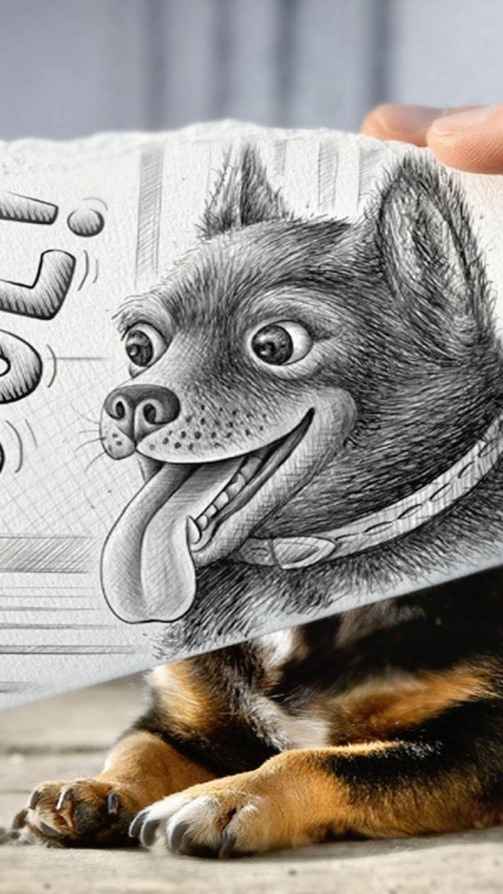 Perro Pequeño de Abrigo Corto Negro y Fuego. Wallpaper in 720x1280 Resolution