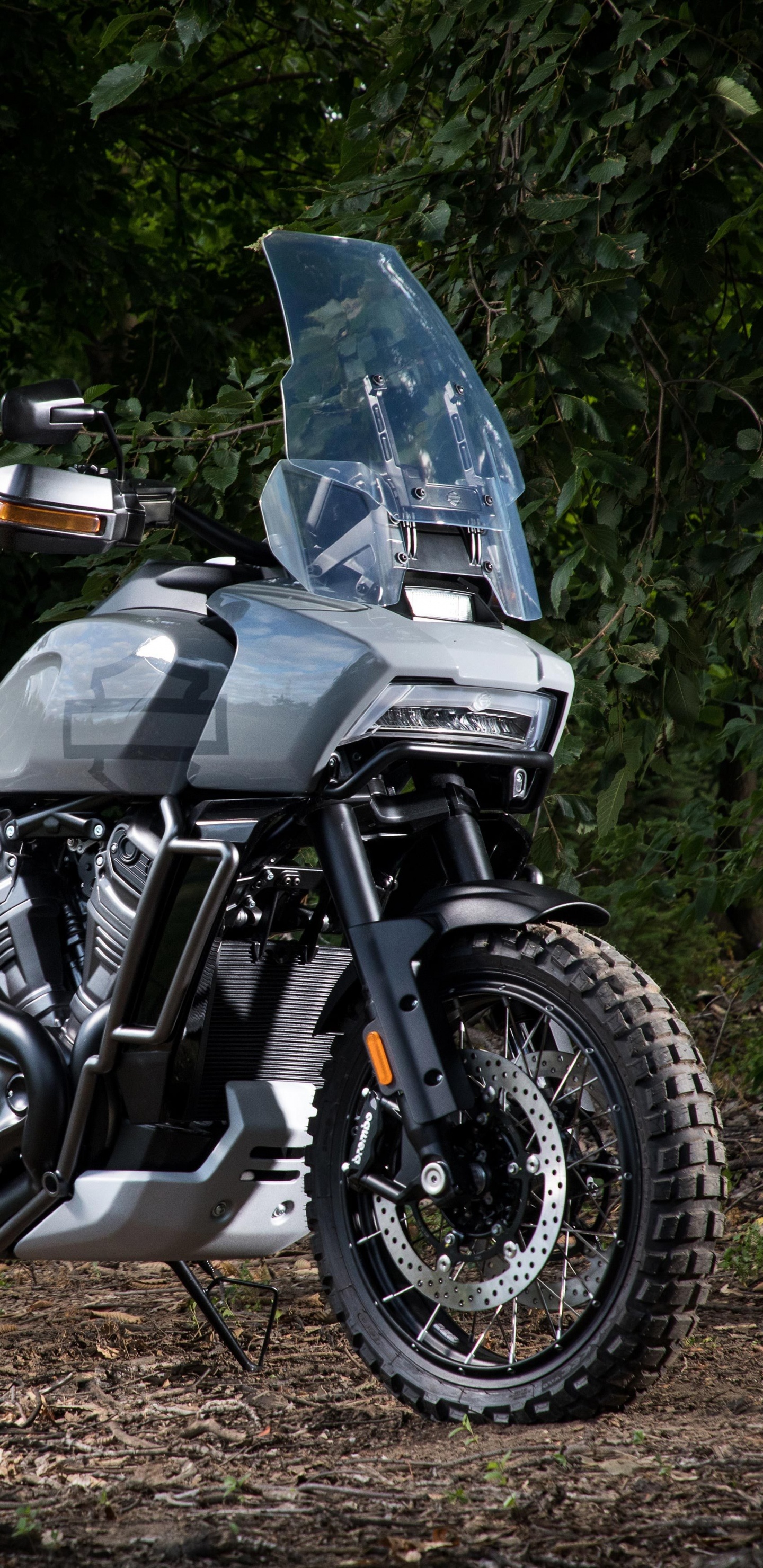 Vélo de Sport Noir et Gris. Wallpaper in 1440x2960 Resolution