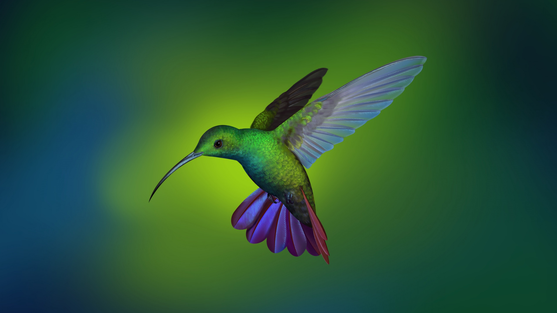 Colibrí Verde y Morado. Wallpaper in 1920x1080 Resolution