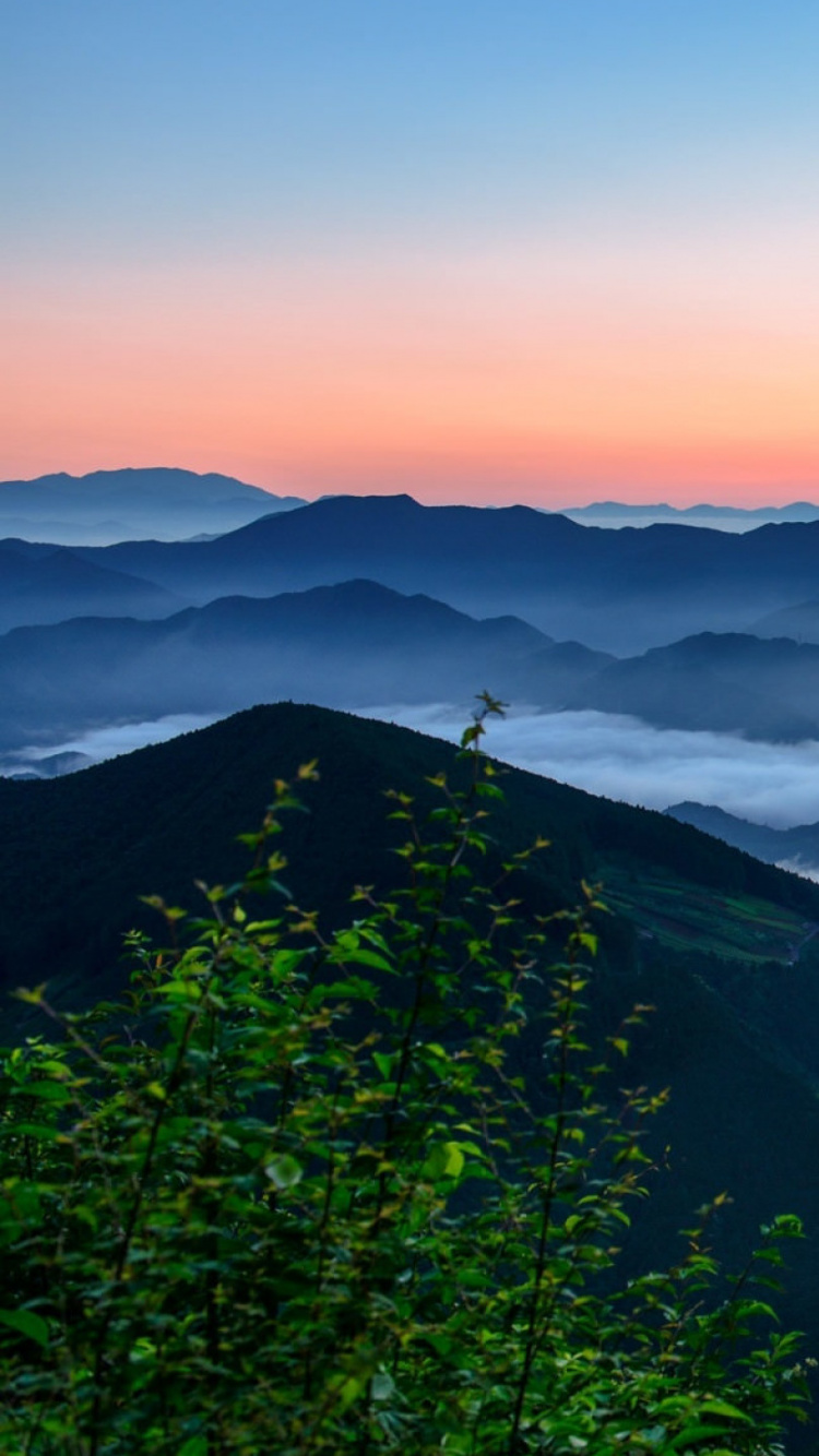 富士山, 多山的地貌, 性质, 高地, 山站 壁纸 750x1334 允许