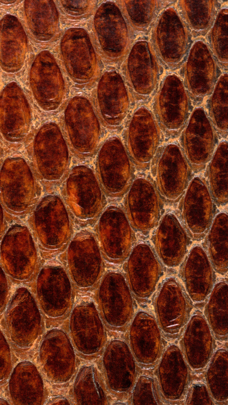 Schwarz-weißes Leoparden-Textil. Wallpaper in 750x1334 Resolution