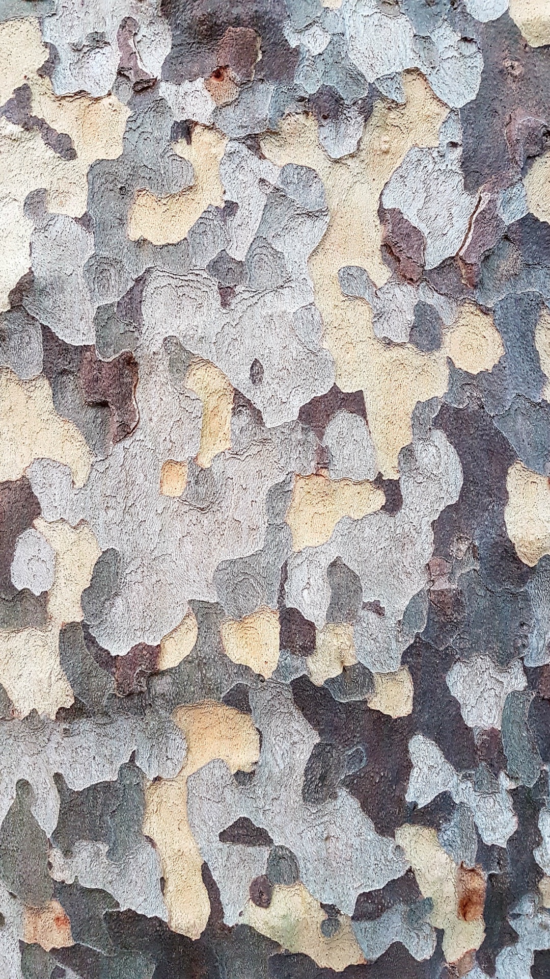 Peinture Abstraite Marron Blanc et Bleu. Wallpaper in 1080x1920 Resolution