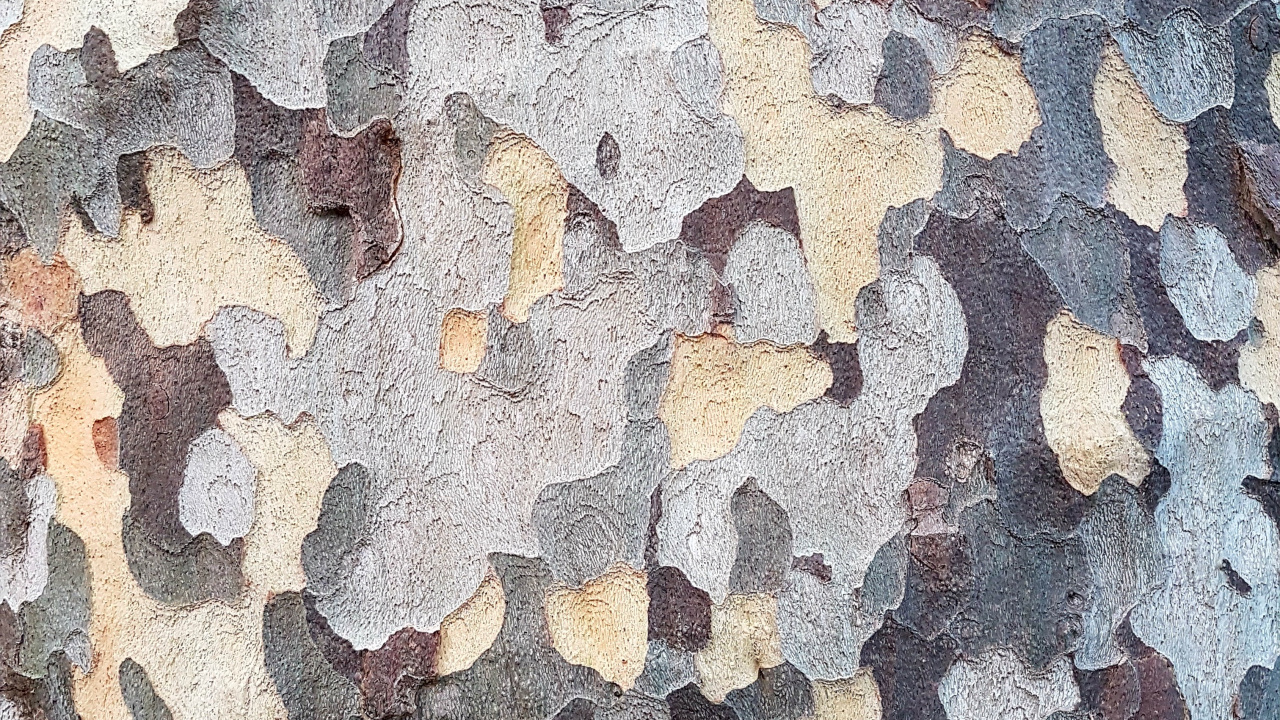 Peinture Abstraite Marron Blanc et Bleu. Wallpaper in 1280x720 Resolution