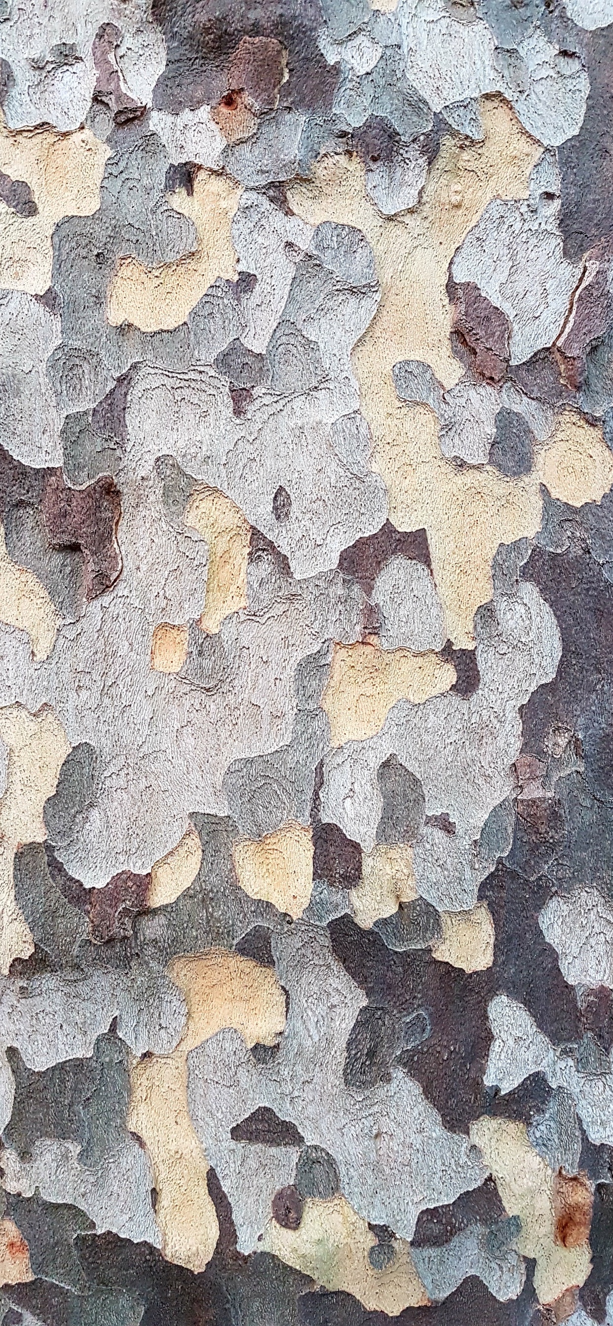 Weißes Braunes Und Blaues Abstraktes Gemälde. Wallpaper in 1242x2688 Resolution